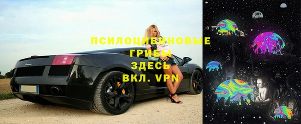 PSILOCYBIN Сатка