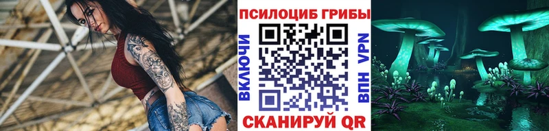 наркота Талдом Псилоцибиновые грибы мицелий